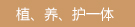 优势